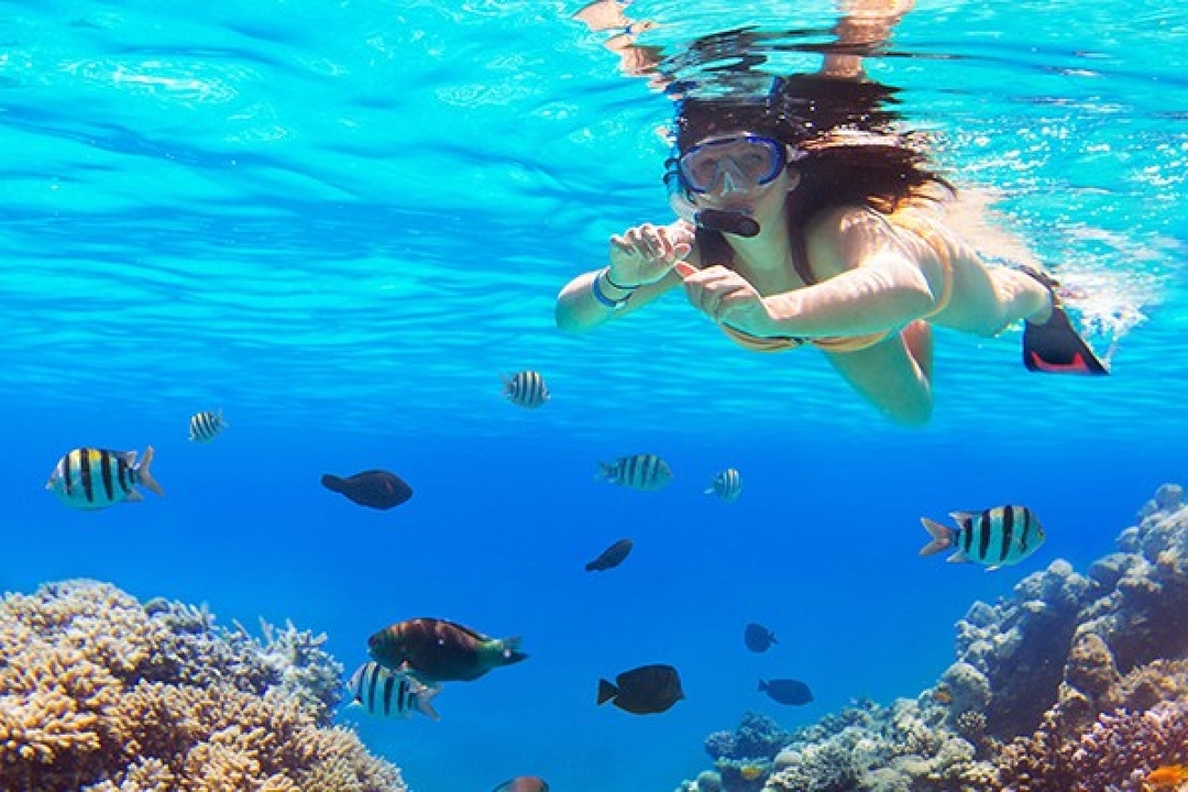 Egypt: 7-Hour Scenic Hurghada Boat Trip with Snorkeling and Lunch 8