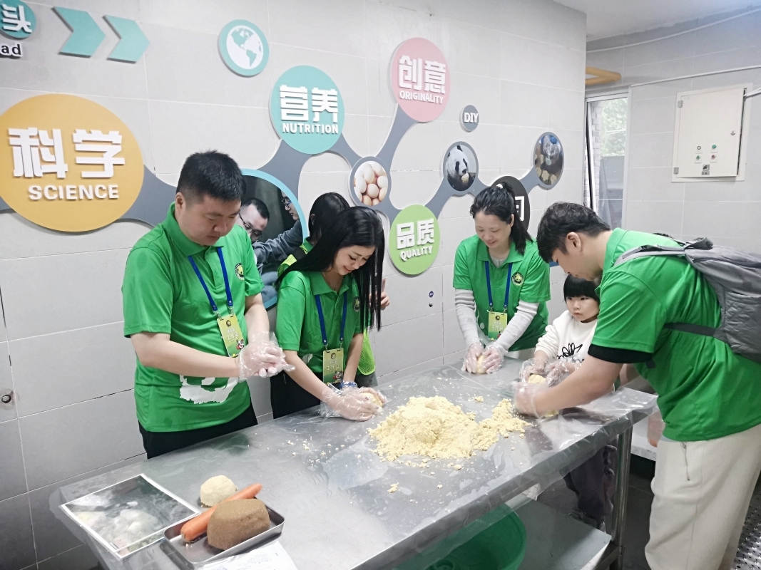 A One-Day Volunteer Experience at the Dujiangyan Panda base 3