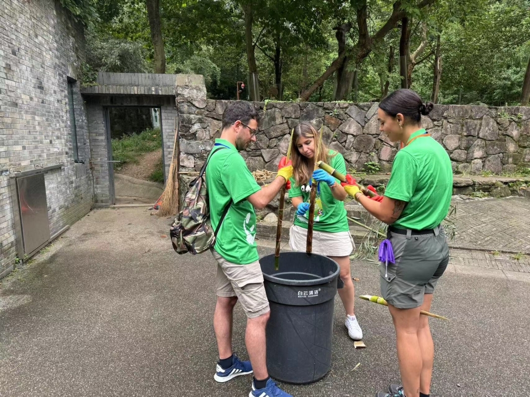 A One-Day Volunteer Experience at the Dujiangyan Panda base 2