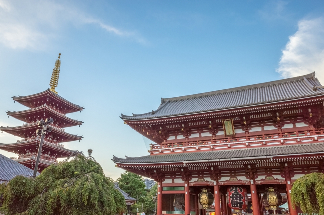 Half Day(4hour) Private Guided Tour in Tokyo with National Licensed guide 2