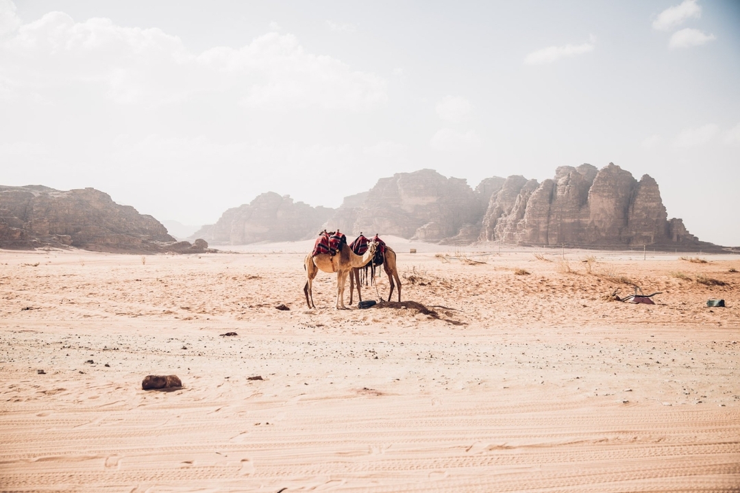 Amman: Petra, Wadi Rum, and Dead Sea 2 Days Tour. 7