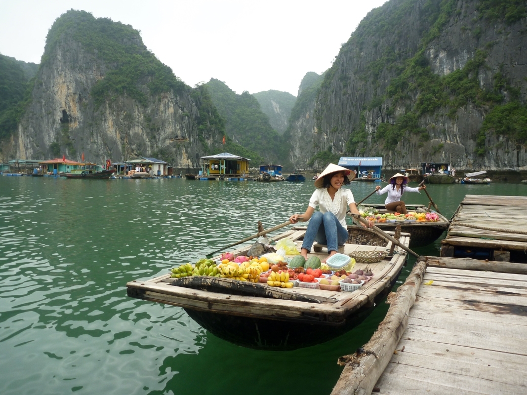 ONE DAY IN HALONG JOINING TOUR 3