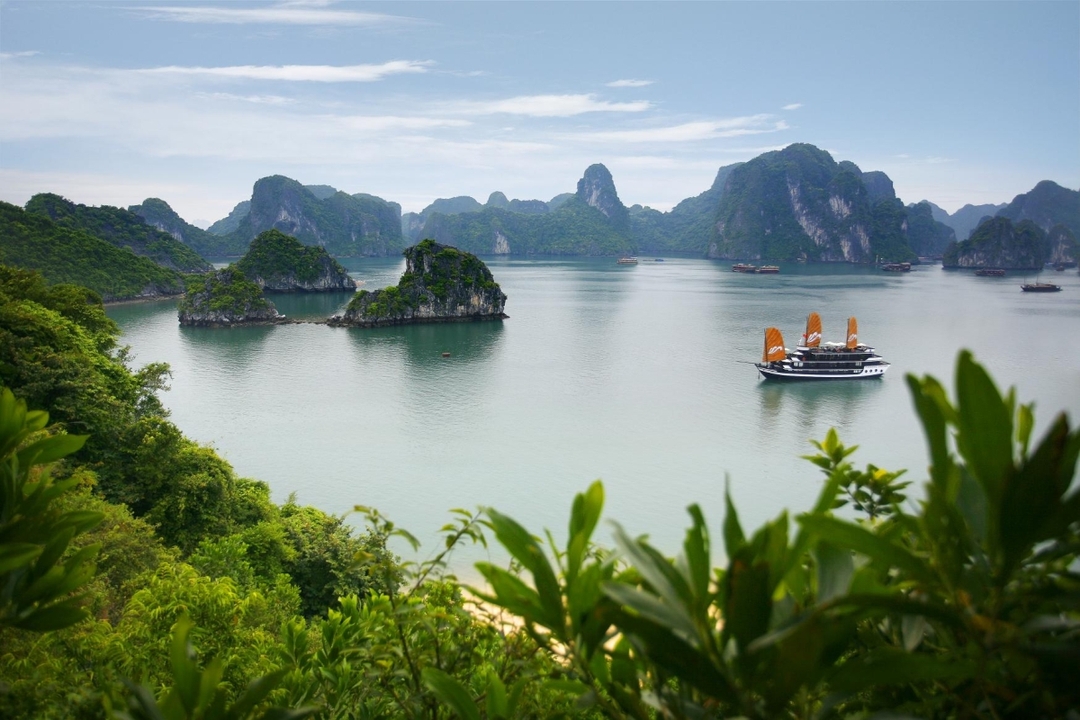 ONE DAY IN HALONG JOINING TOUR 6