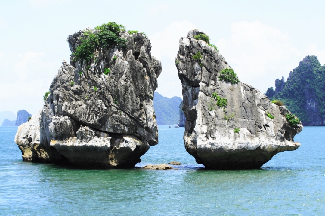 ONE DAY IN HALONG JOINING TOUR 5