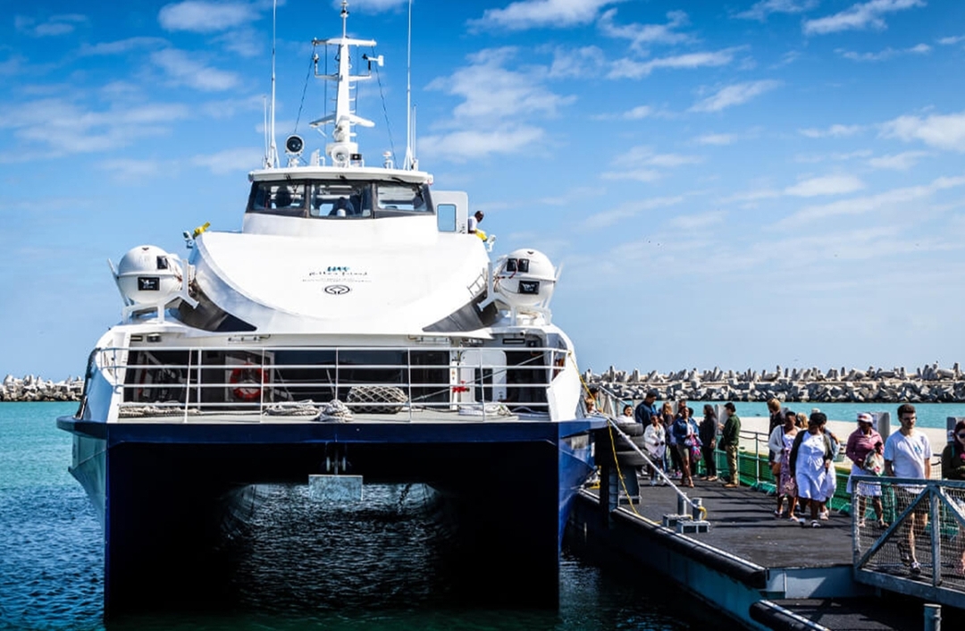 Cape Town: Robben Island Tour with Reserved Tickets 5