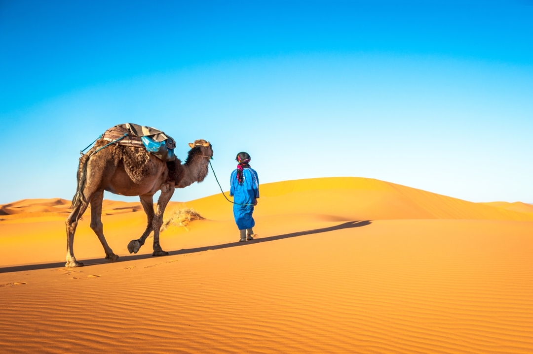 8 Days – Morocco, the Great Desert from Costa del Sol 9