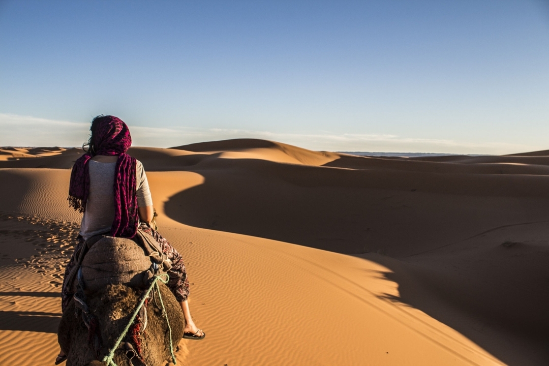 9-Days – Tour Morocco Imperial Cities from Costa del Sol 3