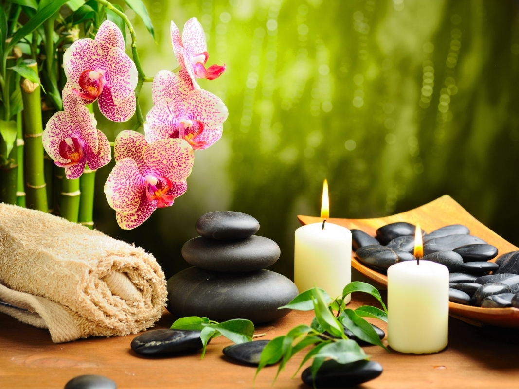 RELAXING AT COMFY SPA 2