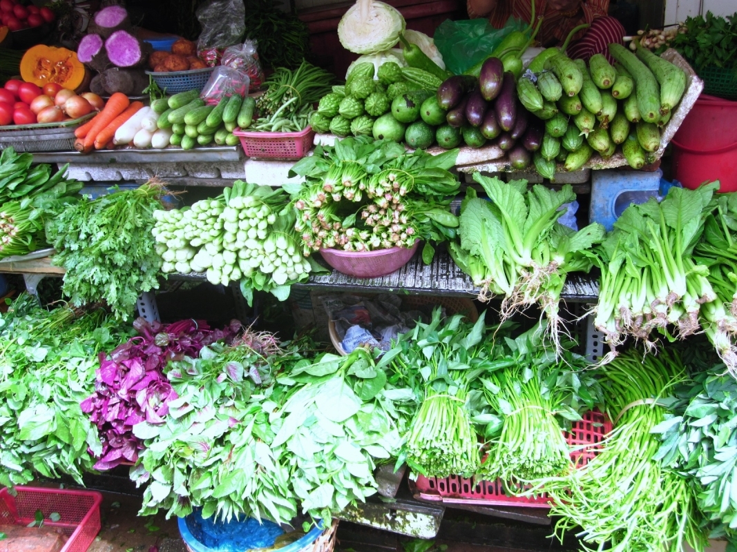 NORTHERN CUISINE - HANOI COOKING CLASS 2