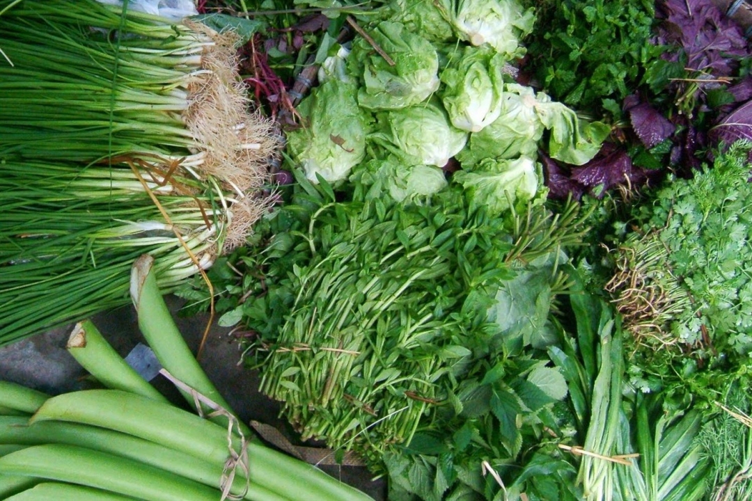 NORTHERN CUISINE - HANOI COOKING CLASS 6