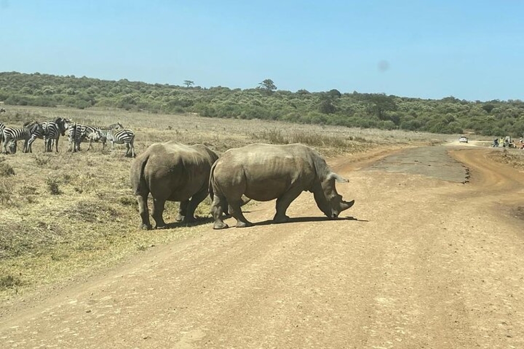 7 Days Luxury Kenya Safari - Private tour 6