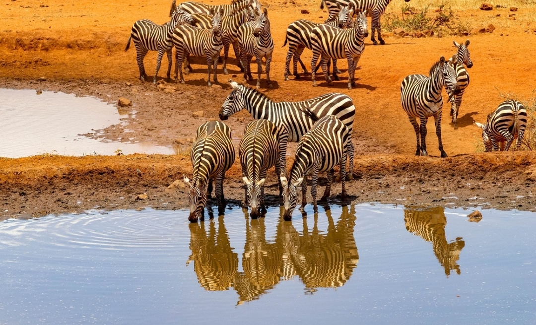 Amboseli National park- Day trip: Mt. Kilimanjaro views 2