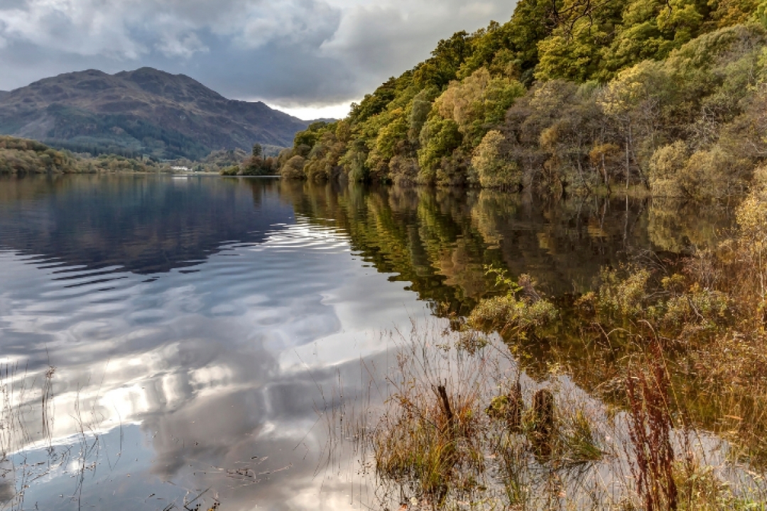 Loch Lomond & Trossachs National Park Self Drive Tour with an APP 1