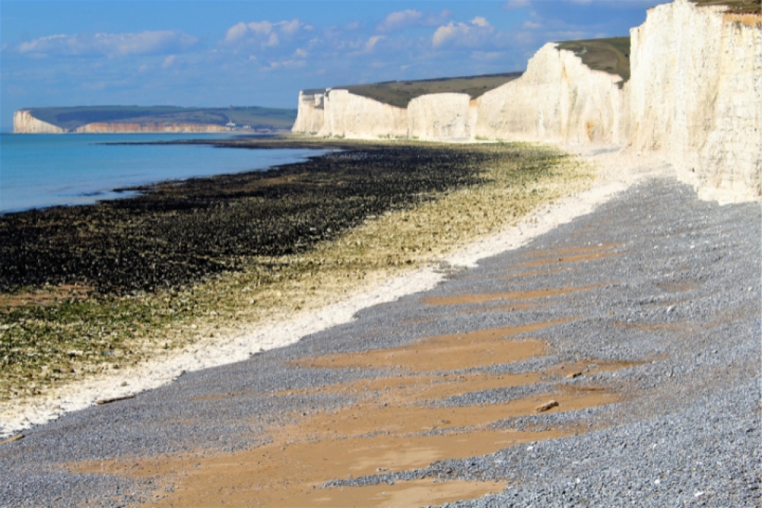 Seven Sisters Walking Tour with an APP 3