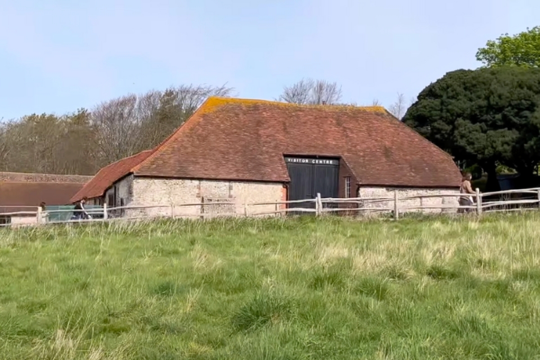Seven Sisters Walking Tour with an APP 5