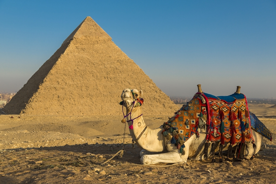 Pyramids odyssey 1