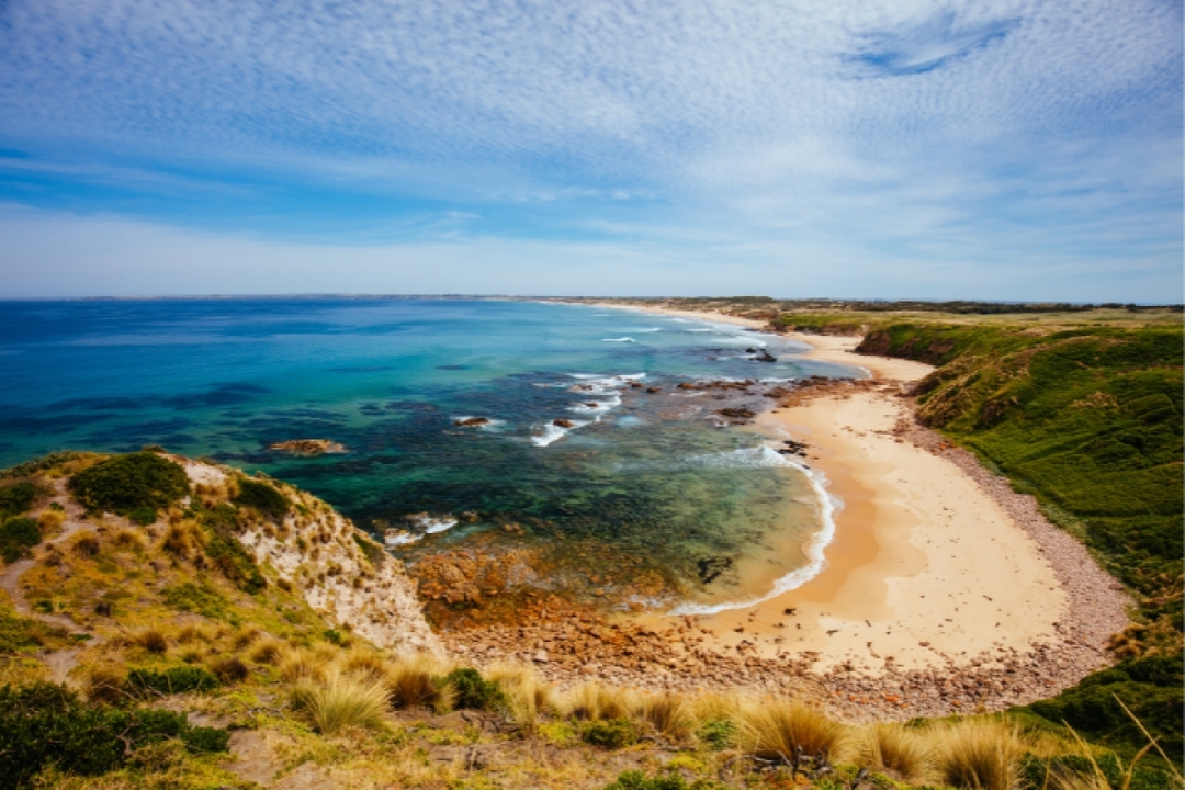 Phillip Island Self Guided Driving Tour with an APP 1