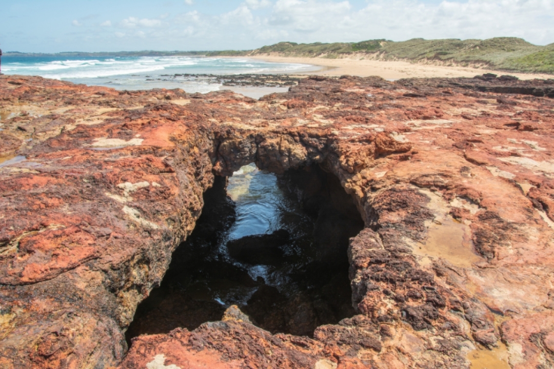 Phillip Island Self Guided Driving Tour with an APP 2