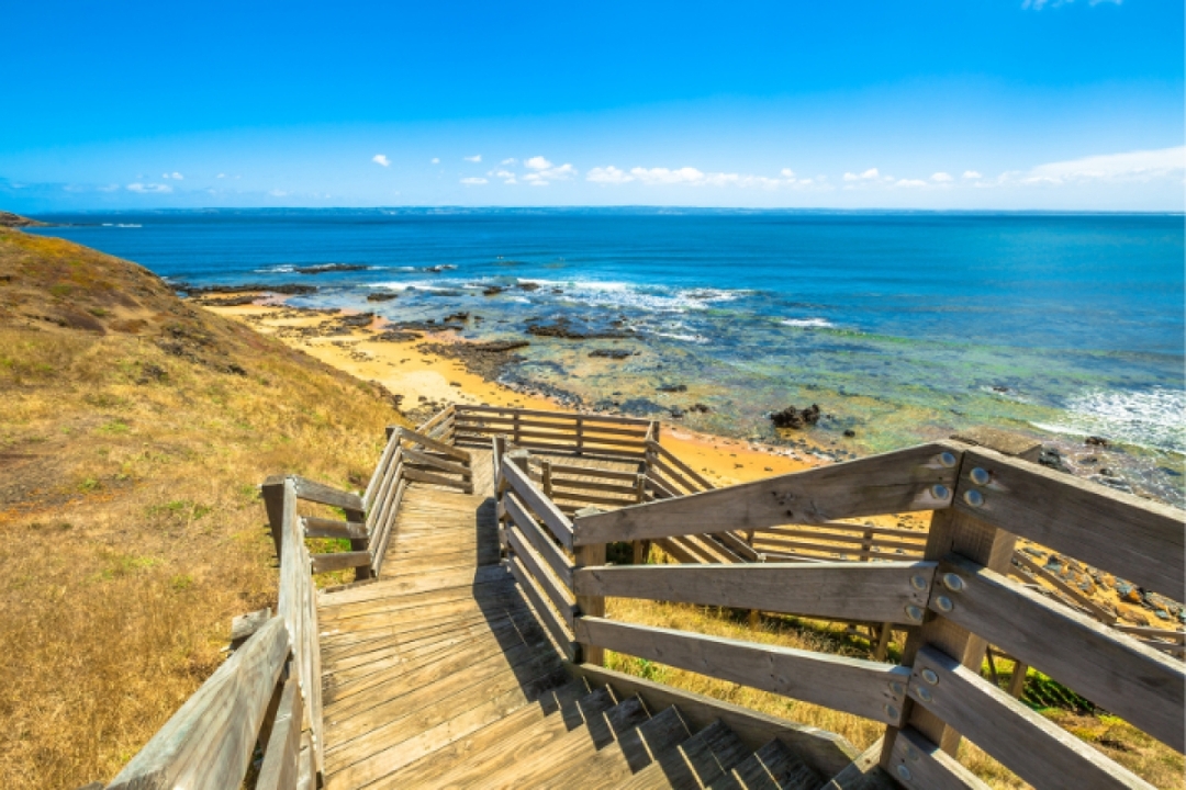 Phillip Island Self Guided Driving Tour with an APP 5