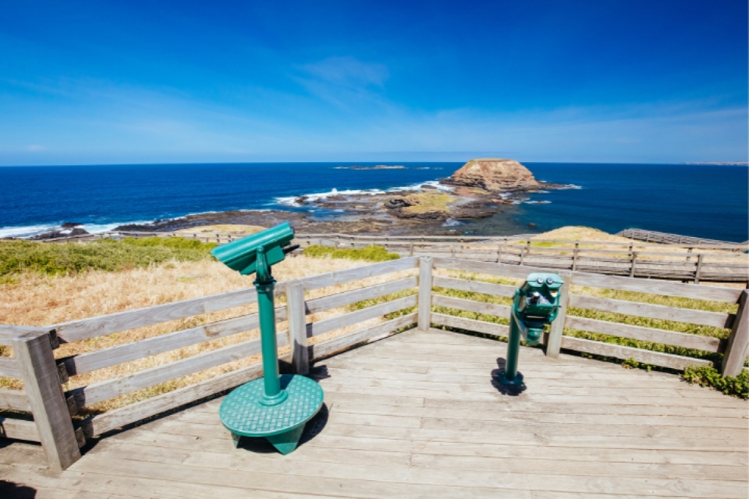 Phillip Island Self Guided Driving Tour with an APP 7