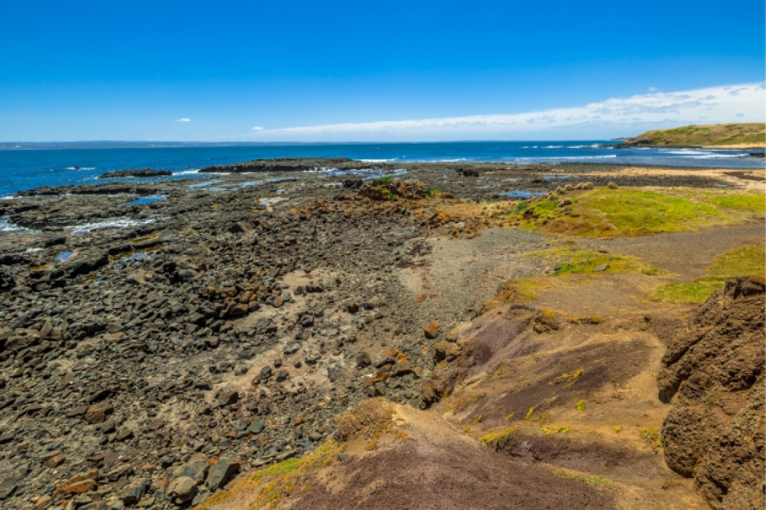 Phillip Island Self Guided Driving Tour with an APP 9