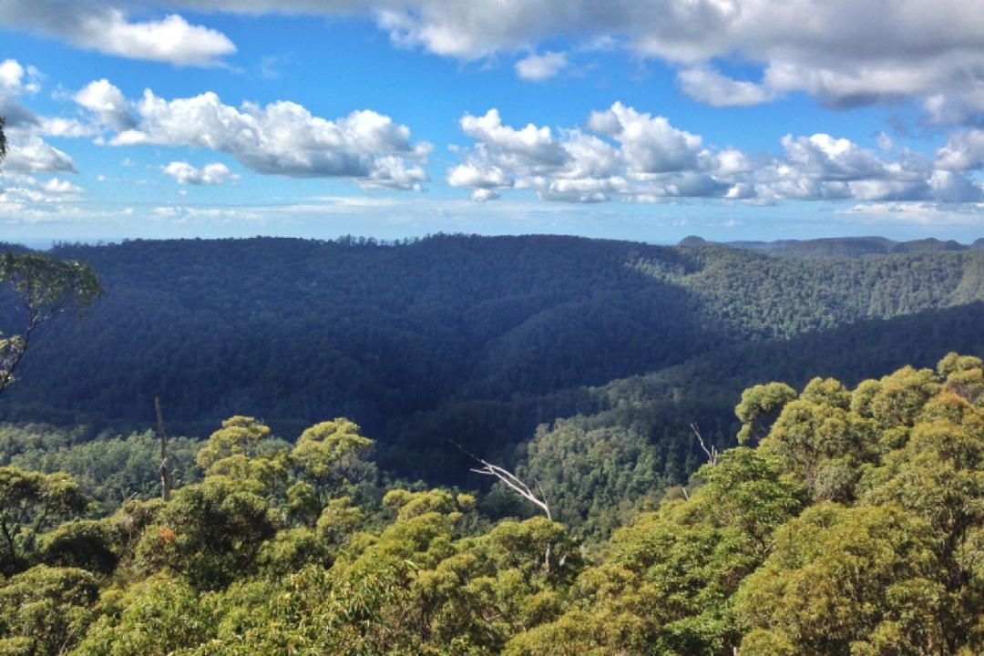 Spring Brook National Park Self Guided Driving Tour with an APP 2