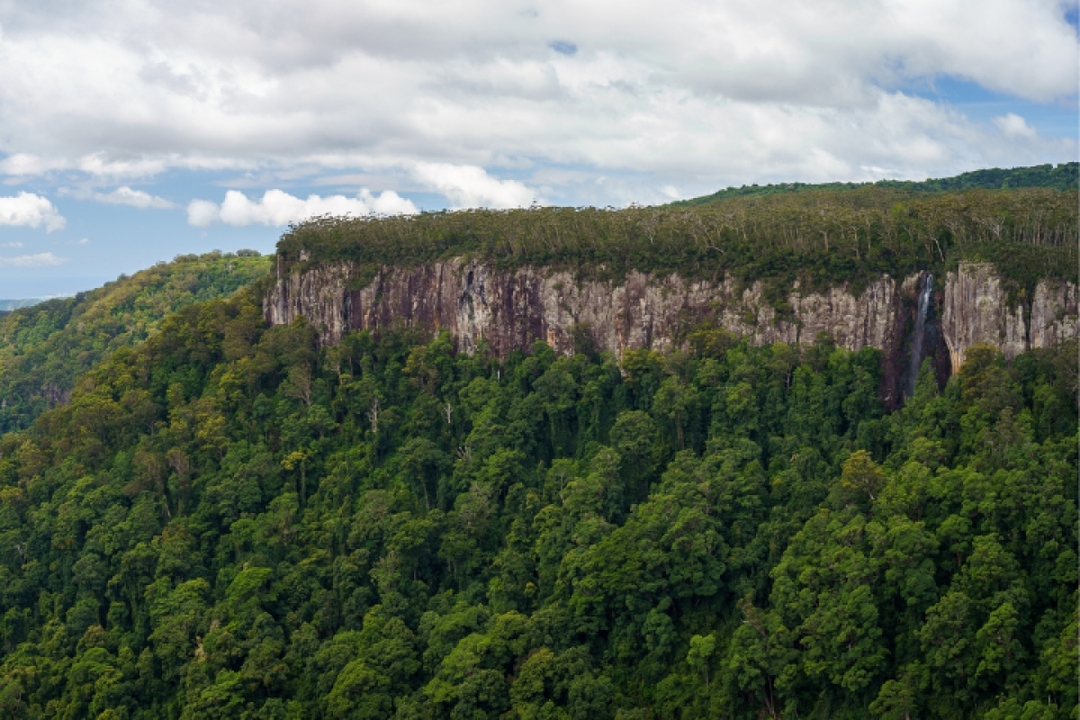 Spring Brook National Park Self Guided Driving Tour with an APP 4