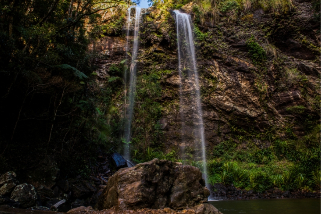 Spring Brook National Park Self Guided Driving Tour with an APP 5