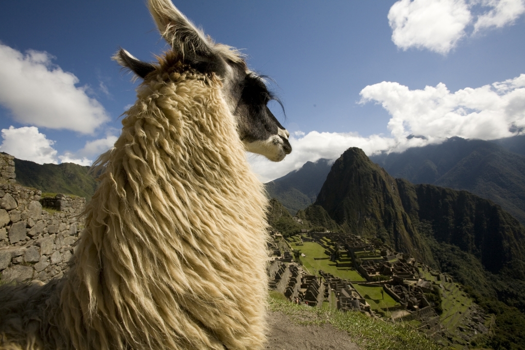 Machu Picchu Day Trip from Cusco 2