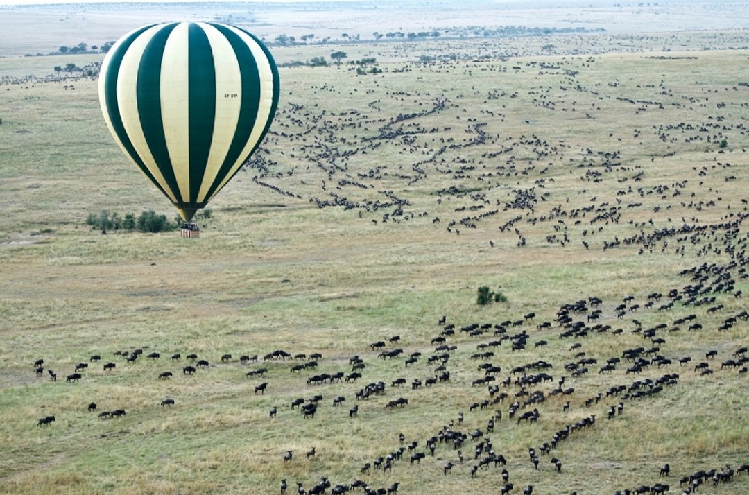 8 days Kenya Budget Joining Safari 2