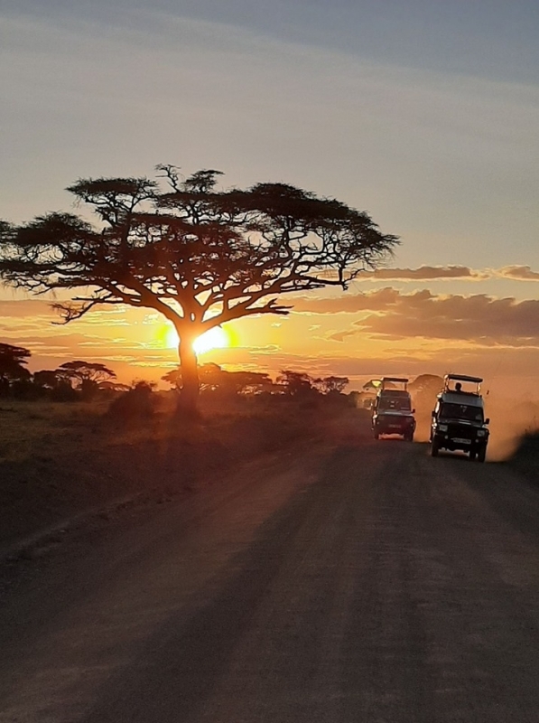 8 days Kenya Budget Joining Safari 3