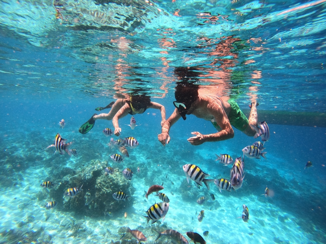 From Lombok: Full Day Snorkeling Day Trip to North 3 Gilis (Trawangan, Meno, Air) 3