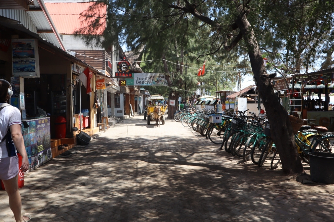 From Lombok: Full Day Snorkeling Day Trip to North 3 Gilis (Trawangan, Meno, Air) 9