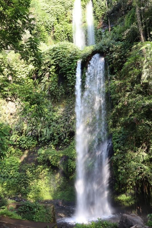North Lombok: Sendang Gile Waterfall & Senaru Village Tour 6