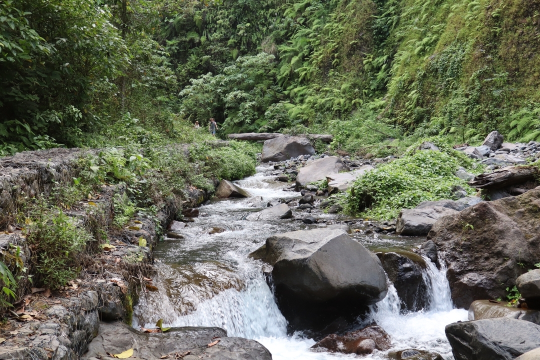 North Lombok: Sendang Gile Waterfall & Senaru Village Tour 7