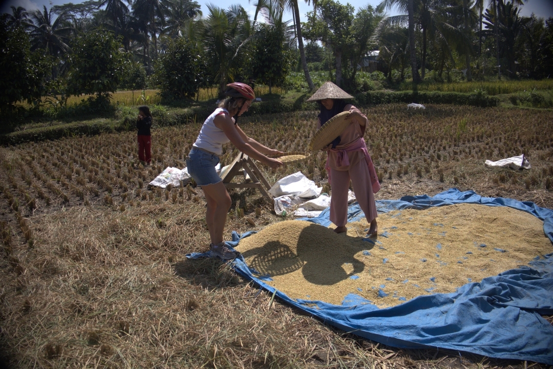 Golong Countryside Bike Ride to Ranget Spring and Lingsar Temple 3
