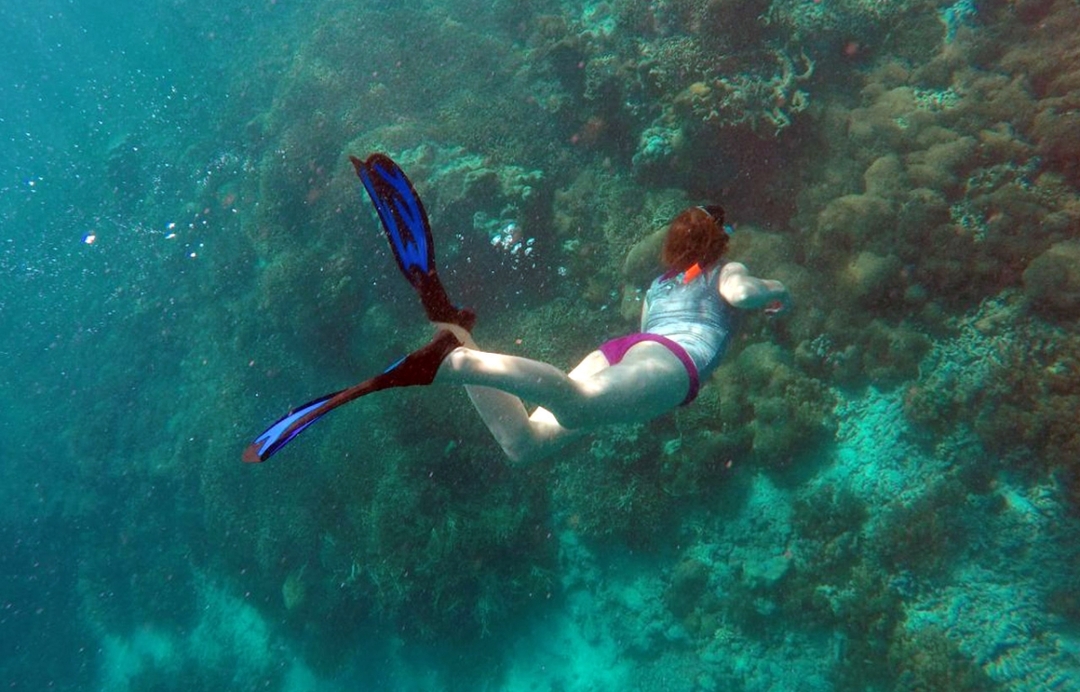 South Lombok Gili Island snorkeling Day Trip (Nanggu, Sudak, Kedis) 5