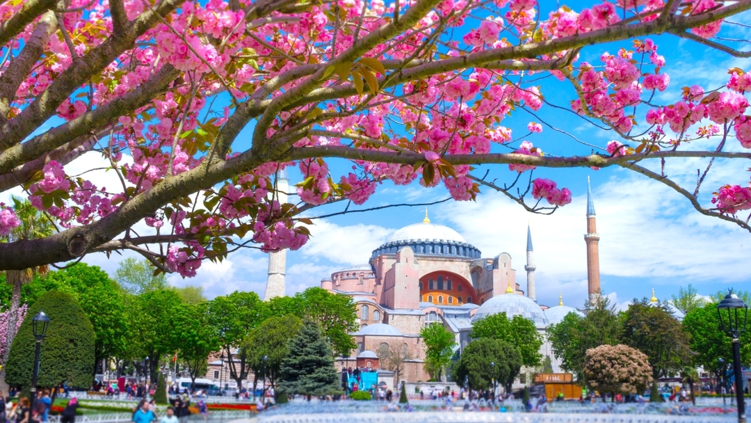 6 Days Special Istanbul City Tour 4
