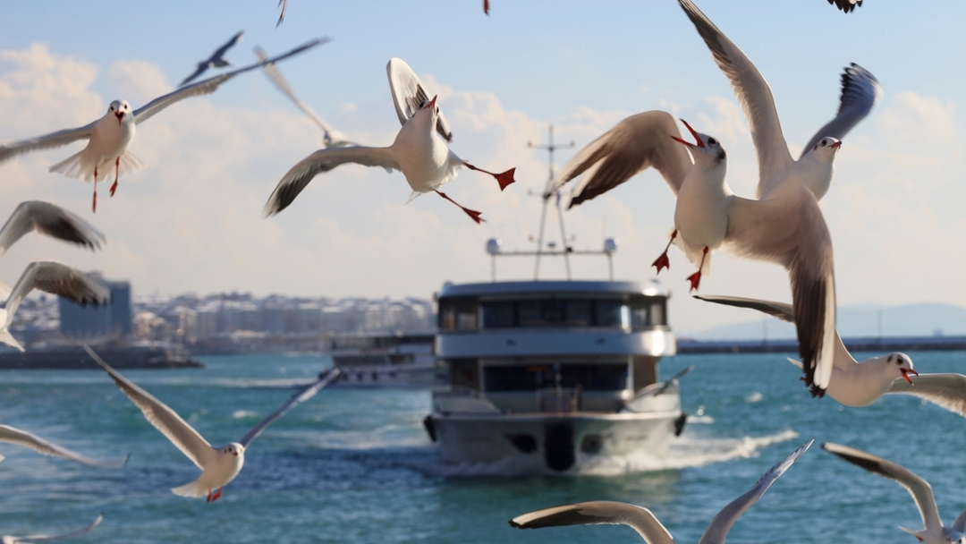 6 Days Special Istanbul City Tour 8