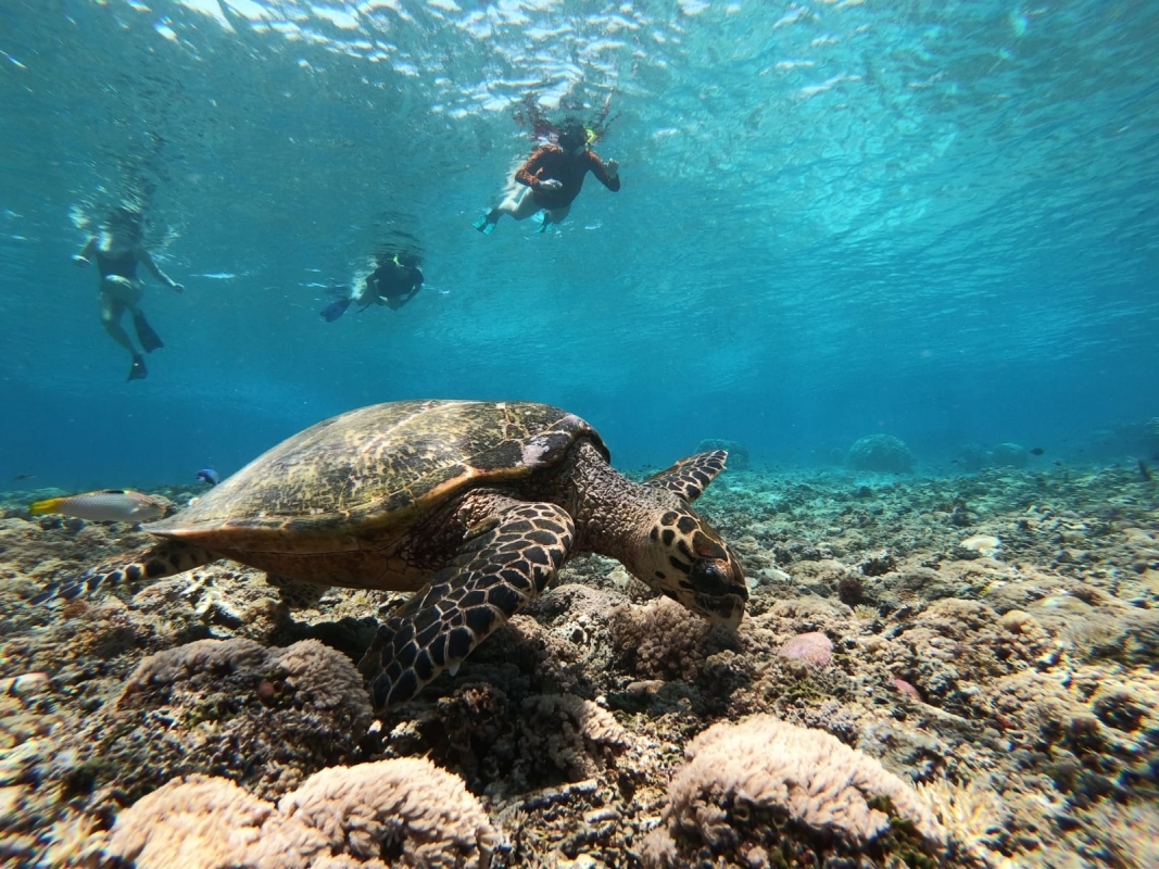 Six-Day Adventure in Lombok for Thrill-Seekers 6