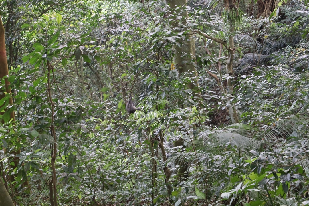 Benang Kelambu Waterfall and Mandalika South Beaches Day Trip 10