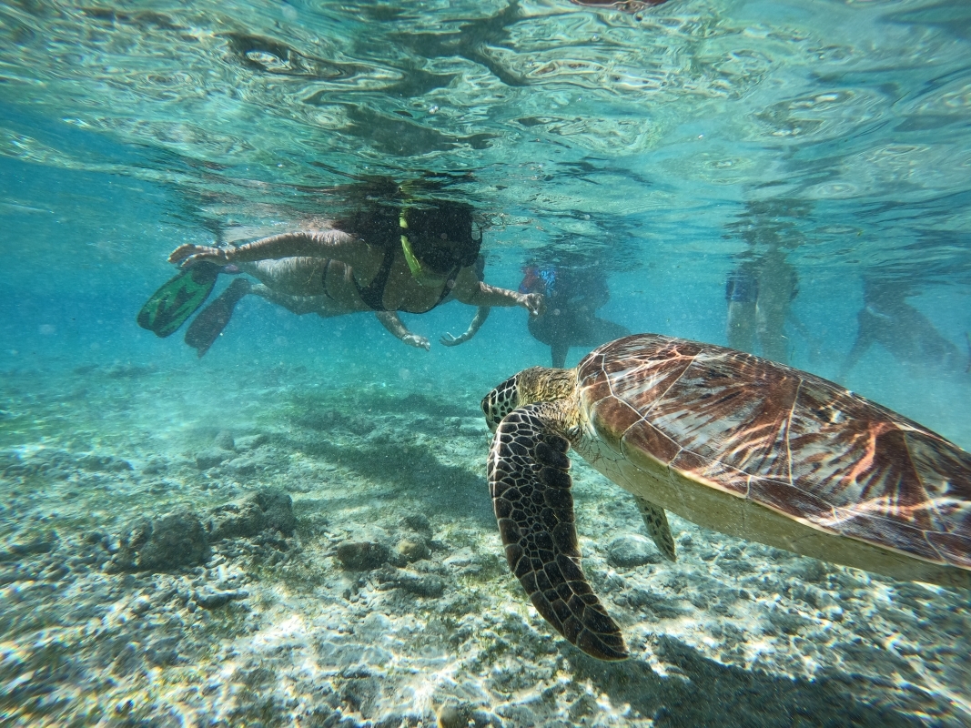 Wonderful 4-day Lombok Itinerary for Sightseeing and Activity 9