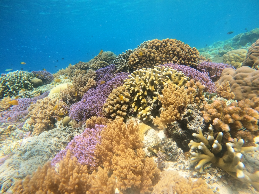 Wonderful 4-day Lombok Itinerary for Sightseeing and Activity 10