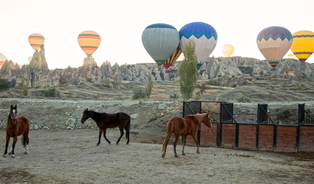 Full Day Guided Tour Cappadocia to Istanbul 7 Day 1
