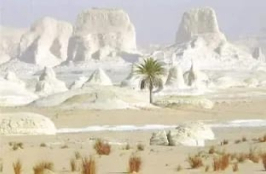 Black and White Desert Tour 2 Days 1 Night From Cairo Or Giza 4