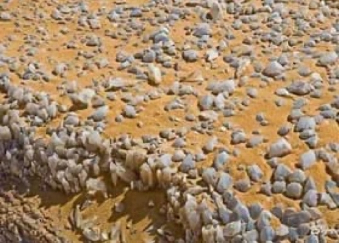 Black and White Desert Tour 2 Days 1 Night From Cairo Or Giza 6