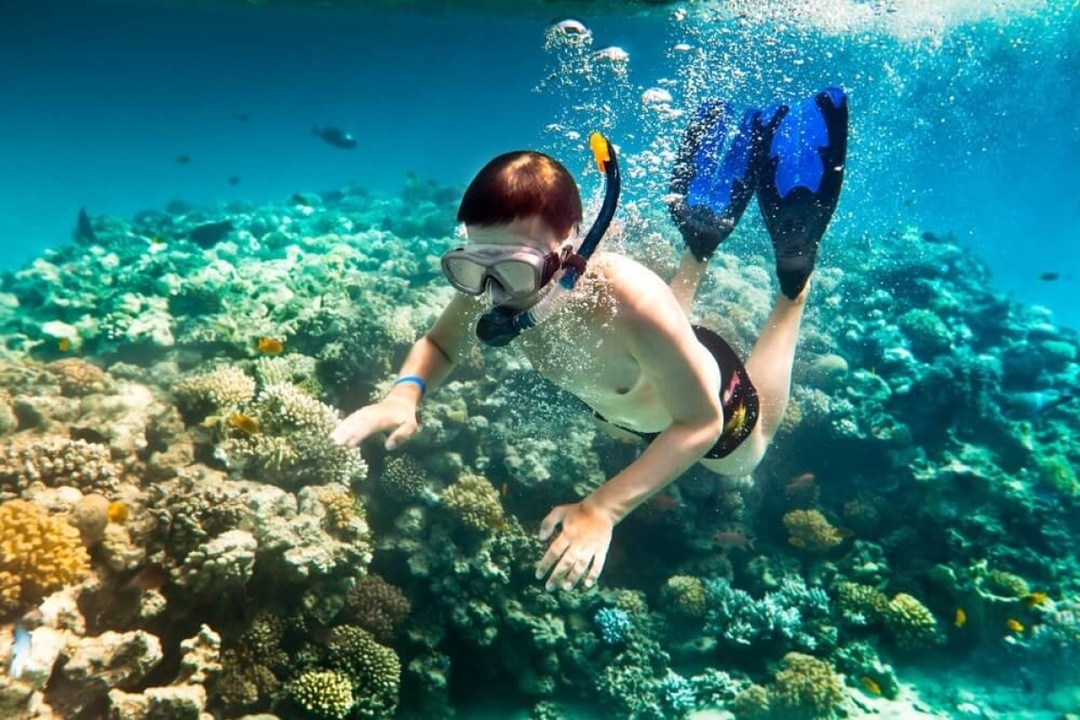 DELUXE ISLAND HOPPING TRIP BY SPEED BOAD IN PHU QUOC ISLAND 6