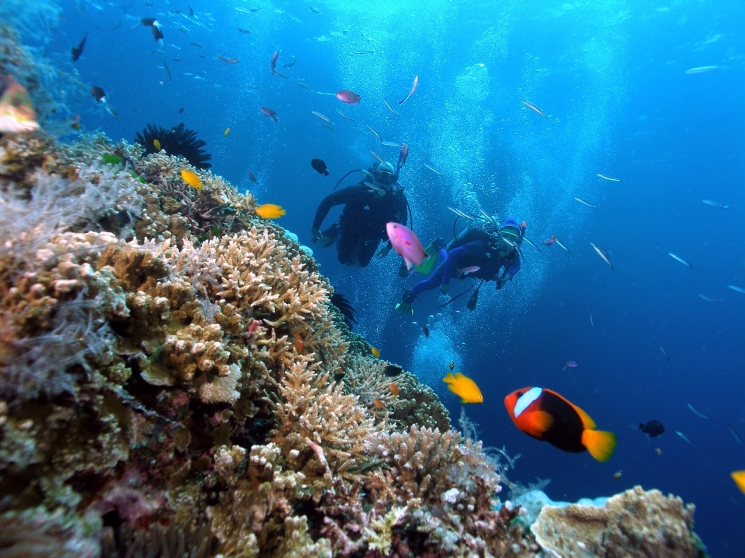 DELUXE ISLAND HOPPING TRIP BY SPEED BOAD IN PHU QUOC ISLAND 7
