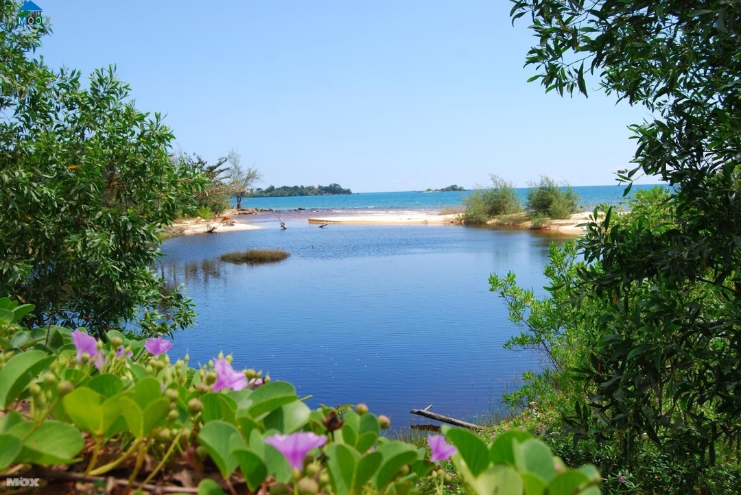 FULL DAY DISCOVER NORTHERN PHU QUOC ISLAND 1