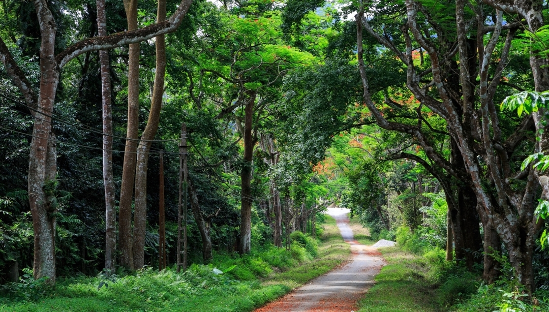 FULL DAY DISCOVER NORTHERN PHU QUOC ISLAND 2
